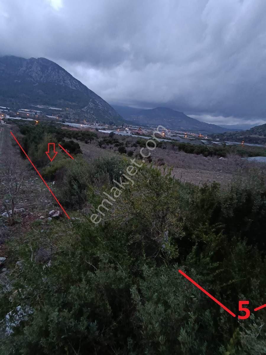 Kumluca Adrasan Satılık Tarla Antalya Kumluca Adrasan Da Satılık Tarla