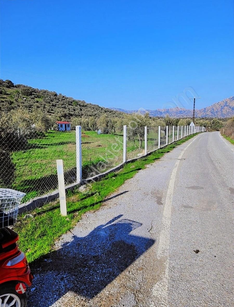 Milas Pınarcık Satılık Zeytinlik Muğla, Milas, Bafa Gölüne Yakın, Asfalt Cepheli Satılık Bahçe