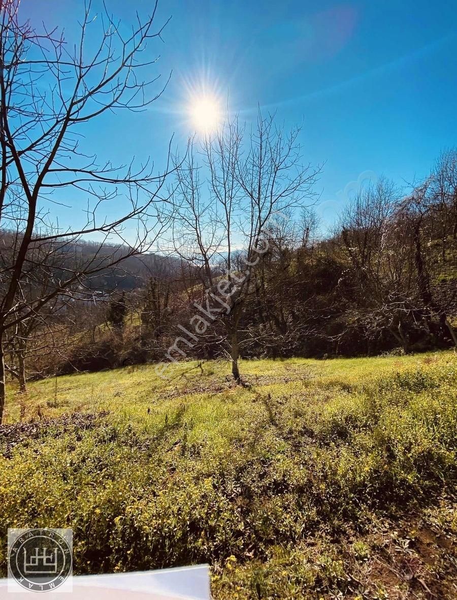 Serdivan Aşağıdereköy Satılık Tarla 5383 M2 Sakarya Serdivan Aşağıdereköy Satılık Arazi