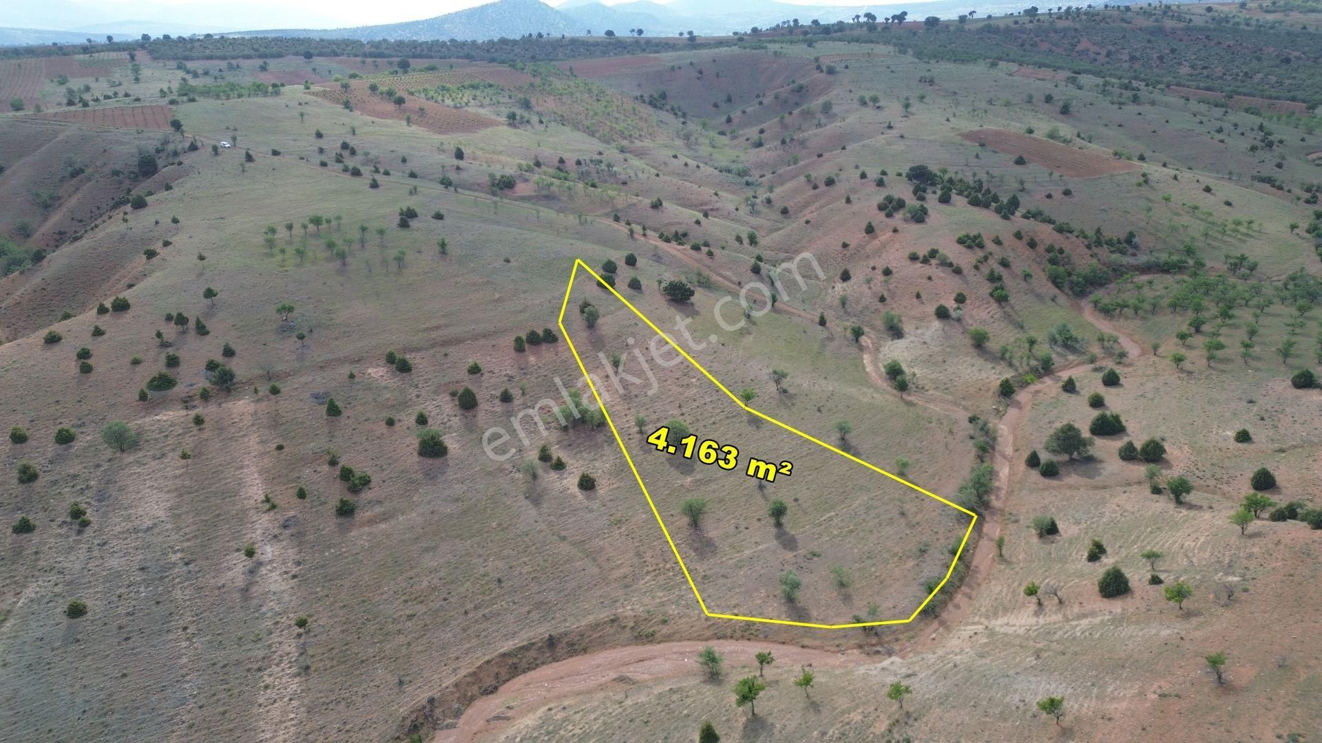 Güneysınır Bardas Satılık Tarla Güneysınır Bardas'da 4.163 M2 Müstakil Tapulu Bağ