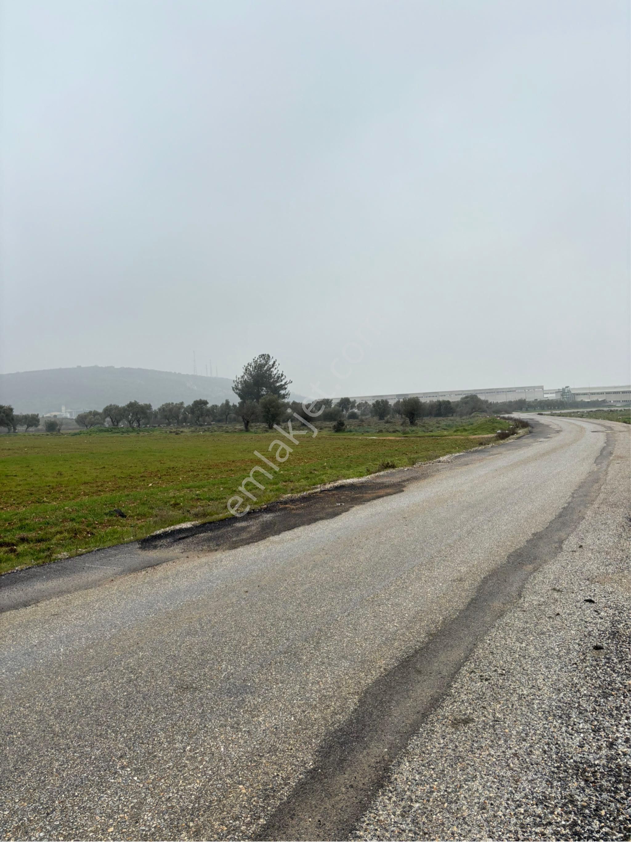 Torbalı Yazıbaşı Satılık Tarla İzmir Torbalı Yazıbaşı Sanayi İmarı Yanında Satılık Tarla