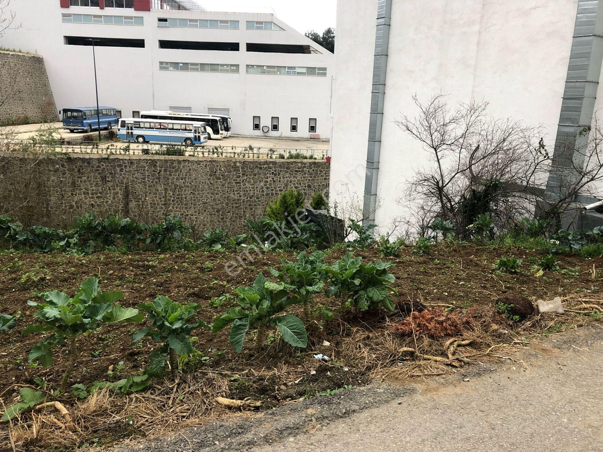 Trabzon Konaklar Katü D Kapısında Satılık İmarlı Arsa - Görsel 11