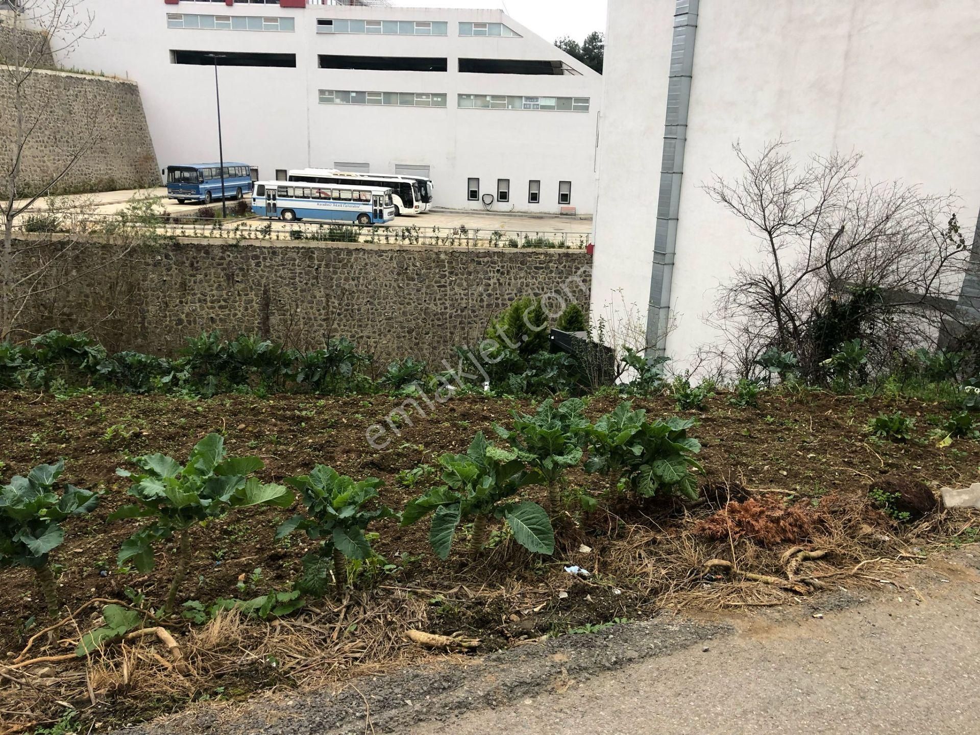 Trabzon Konaklar Katü D Kapısında Satılık İmarlı Arsa - Görsel 10