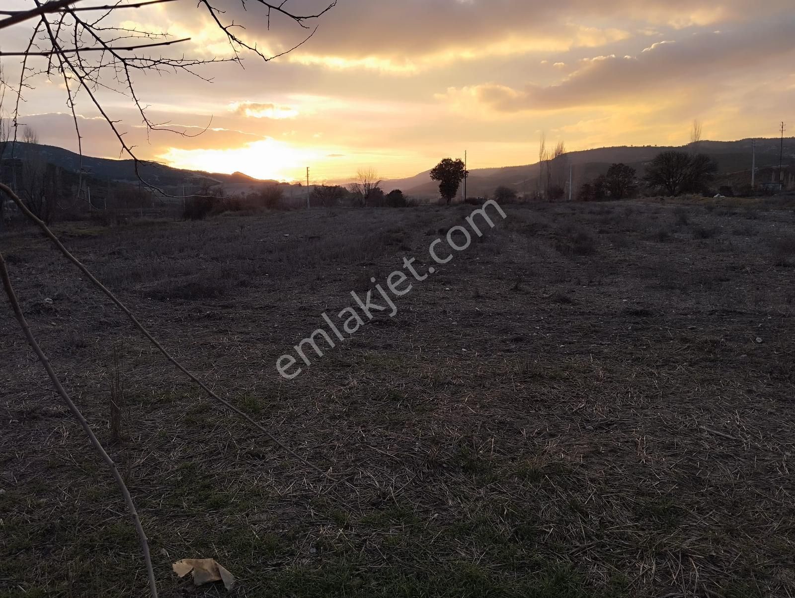 Selendi Aşağı Tefen Satılık Tarla Manisa Selendi Yola Cepheli Tarla Satılık