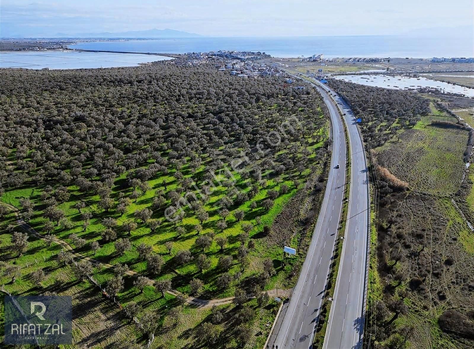 Ayvalık Küçükköy Satılık Zeytinlik İzmir-ayvalık Asfaltına Sıfır 85 M Cepheli 1434 M2 Zeytinlik