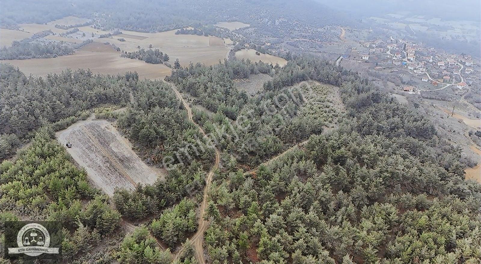 Gölpazarı Karaağaç Köyü Satılık Tarla Bilecik Gölpazarı Karaağaç Köyünde Satılık