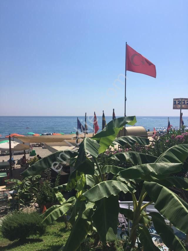 Alanya Oba Satılık Daire Alanya Oba Denize Sıfır Satılık Daire