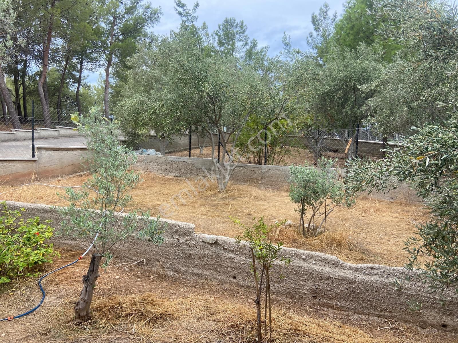 Milas Bozbük Satılık Villa Mugla Milas Bozbuk Te Satılık Yazlık