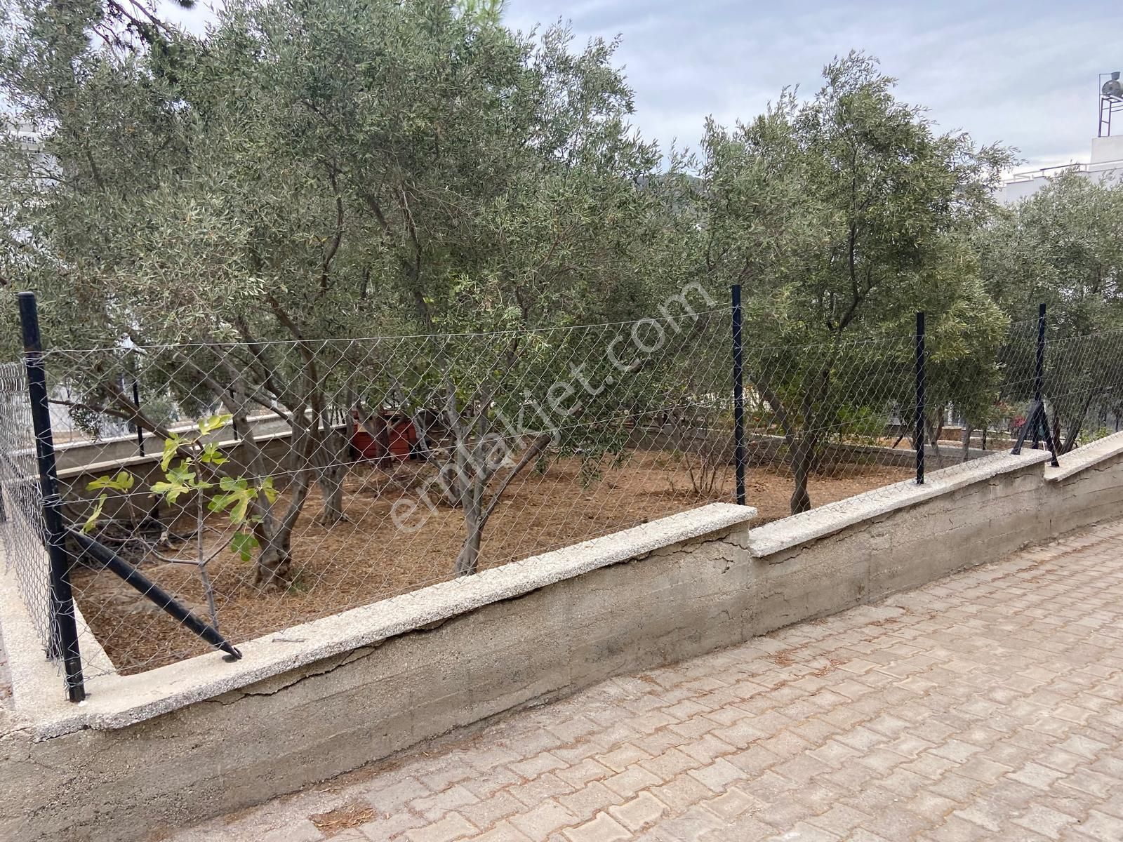 Mugla Milas Bozbuk Te Satılık Yazlık - Görsel 30