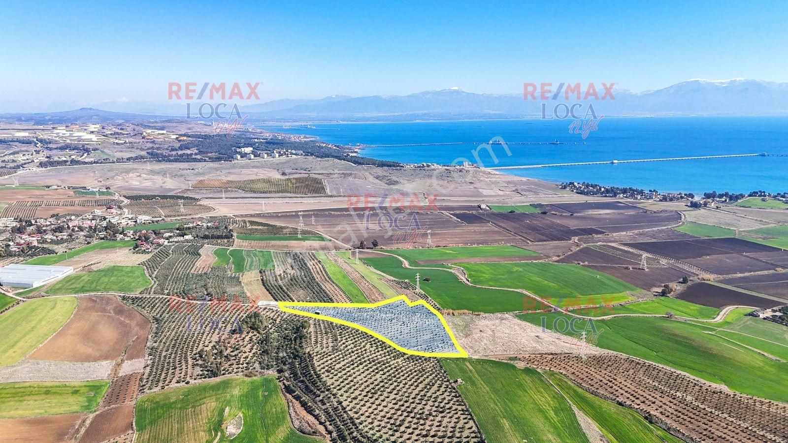 Yumurtalık Gölovası Satılık Tarla Remax Loca Adana Yumurtalık'ta 22.763m2 Satılık Avakado Bahçesi