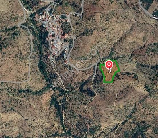 Satılık Bahçe – 11.780 M², Elektrik Aboneliği Mevcut! - Görsel 2