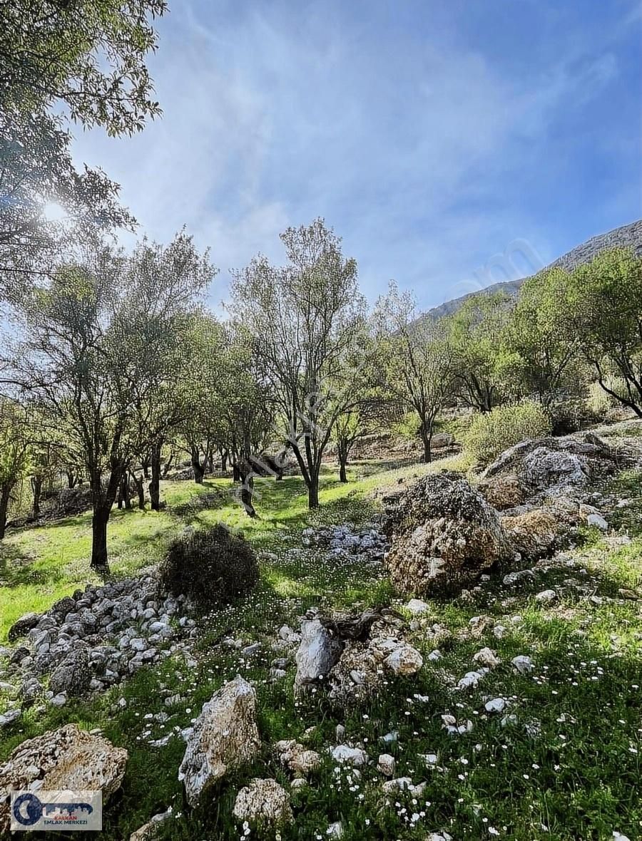 Kaş Hacıoğlan Müstakil Satılık Ev Ve Bahçesi Müstakil Parsel - Görsel 9