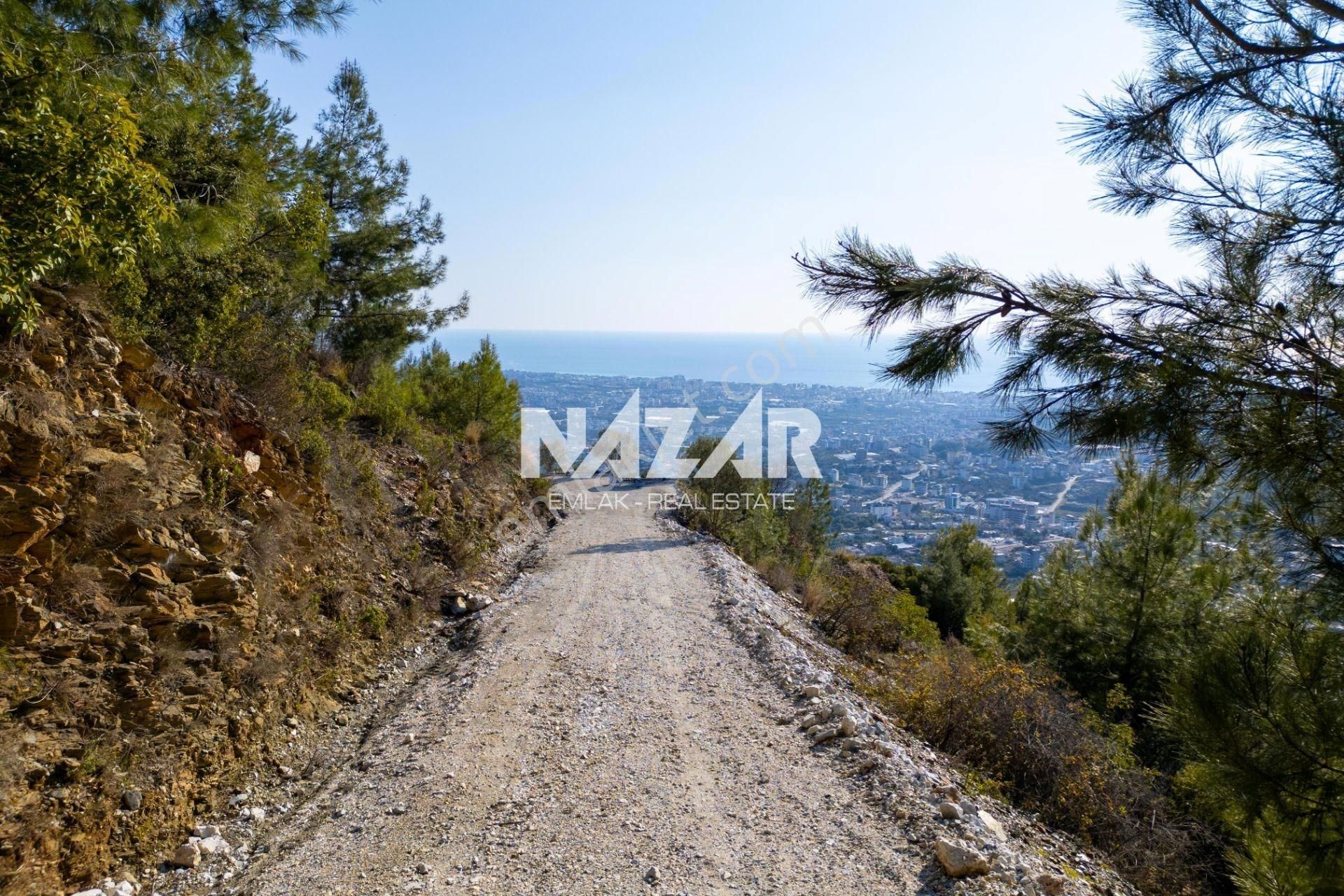 Alanya Değirmendere'de Deniz Manzaralı 4.016 M² Satılık Tarla - Görsel 9