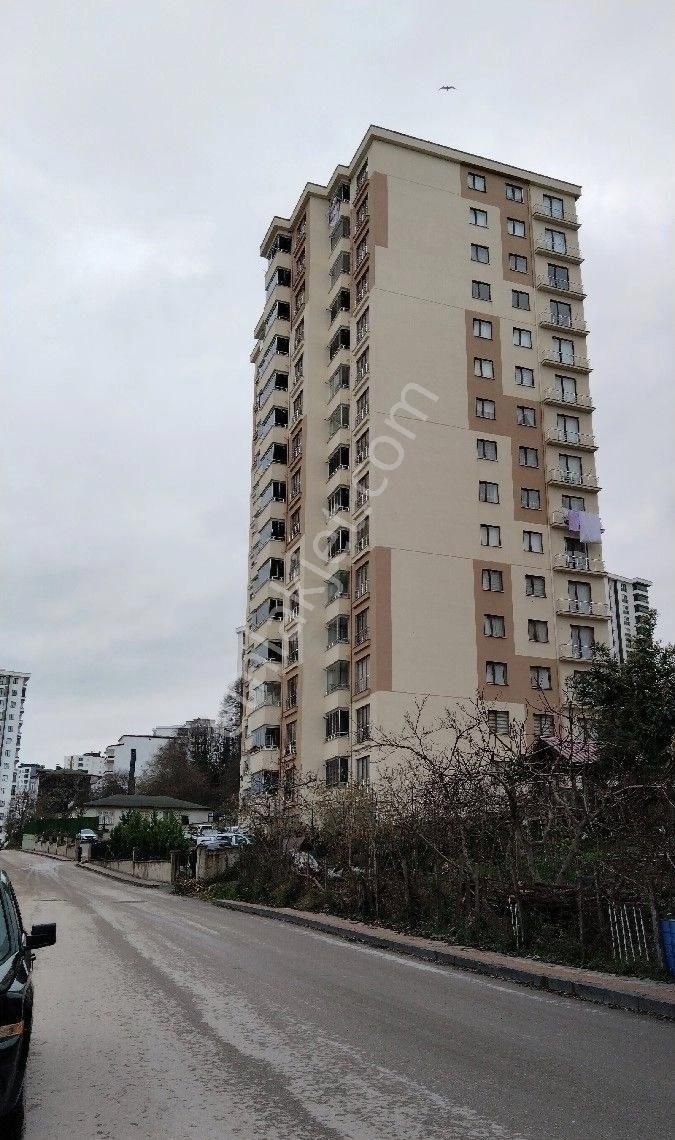 Fatsa Evkaf Satılık Daire Z Grup Fatsa Dolunay Mahallesinde Satılık 3+1 Lux Daire