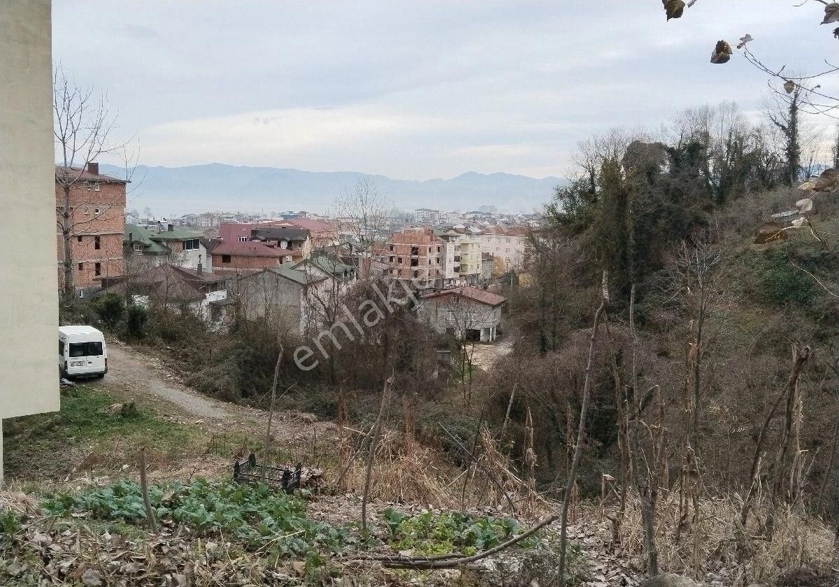 Fatsa Evkaf Satılık Konut İmarlı Fatsa Evkaf Mah. 168 M2 Arsa 72 Metre Oturumlu 95 100 M.k Arası Çıkması Olan Arsa Satılıktır