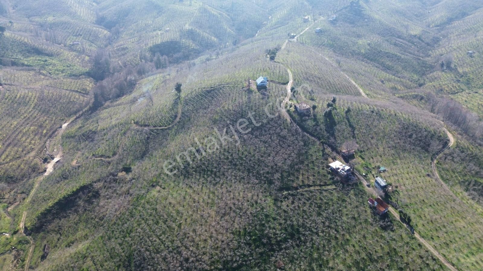 Kocaali Alandere Satılık Özel Kullanım Deniz Doğa Manzaralı Müstakil İçerisinde Ev Mevcut