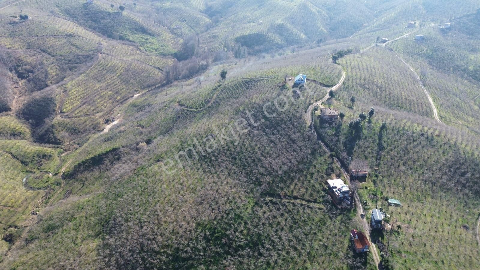 Deniz Doğa Manzaralı Müstakil İçerisinde Ev Mevcut - Görsel 2