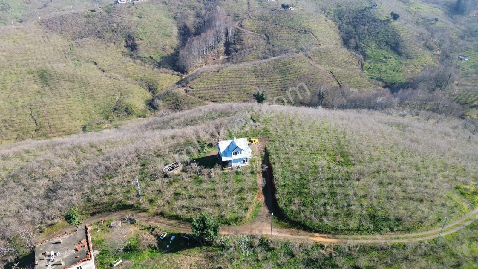 Deniz Doğa Manzaralı Müstakil İçerisinde Ev Mevcut - Görsel 5