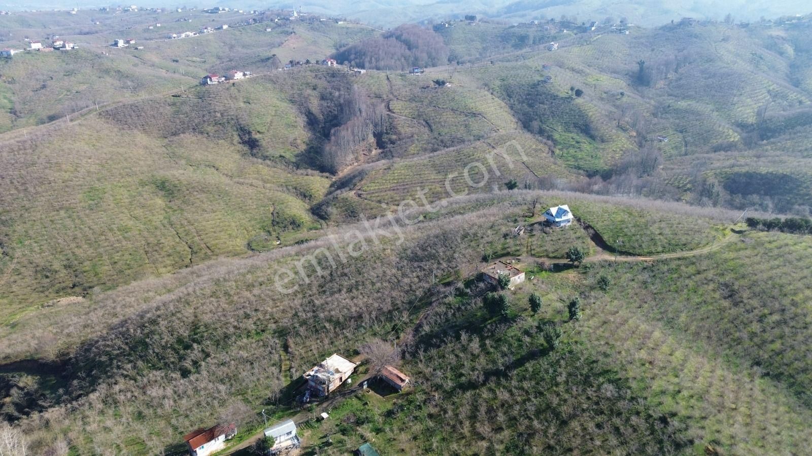 Deniz Doğa Manzaralı Müstakil İçerisinde Ev Mevcut - Görsel 4