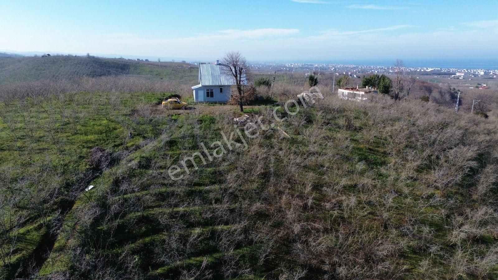 Deniz Doğa Manzaralı Müstakil İçerisinde Ev Mevcut - Görsel 12