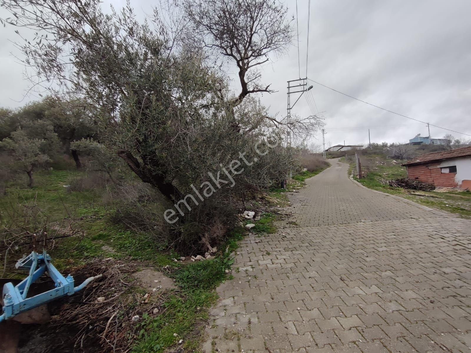 Şehzadeler Karayenice Satılık Villa İmarlı Satılık İmarlı Arsa Manisa Şehzadeler Karayenice Köyünde