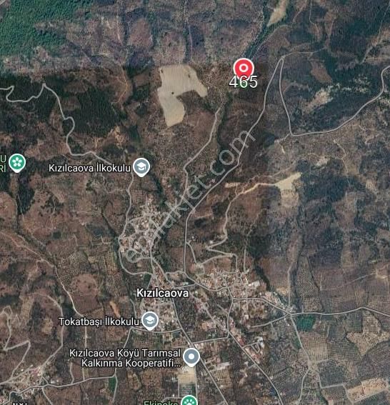 4 Parça Tapulu Satılık Zeytinlik - Görsel 9