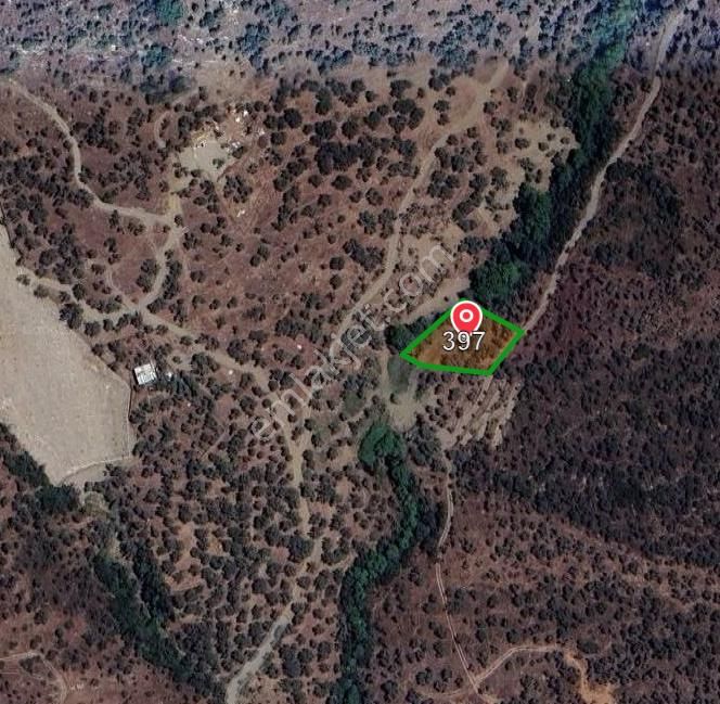 4 Parça Tapulu Satılık Zeytinlik - Görsel 11