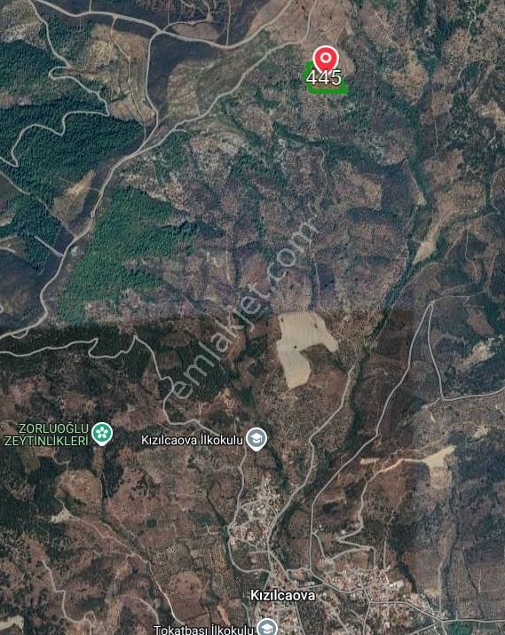 4 Parça Tapulu Satılık Zeytinlik - Görsel 2