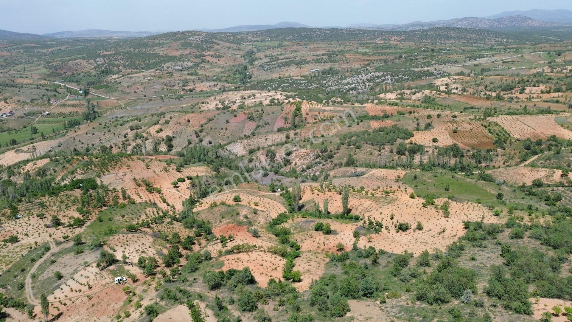 Bozkır Hamzalar Satılık Tarla Bozkır Hamzalar Da 1.063 M2 Müstakil Tapulu Bağ