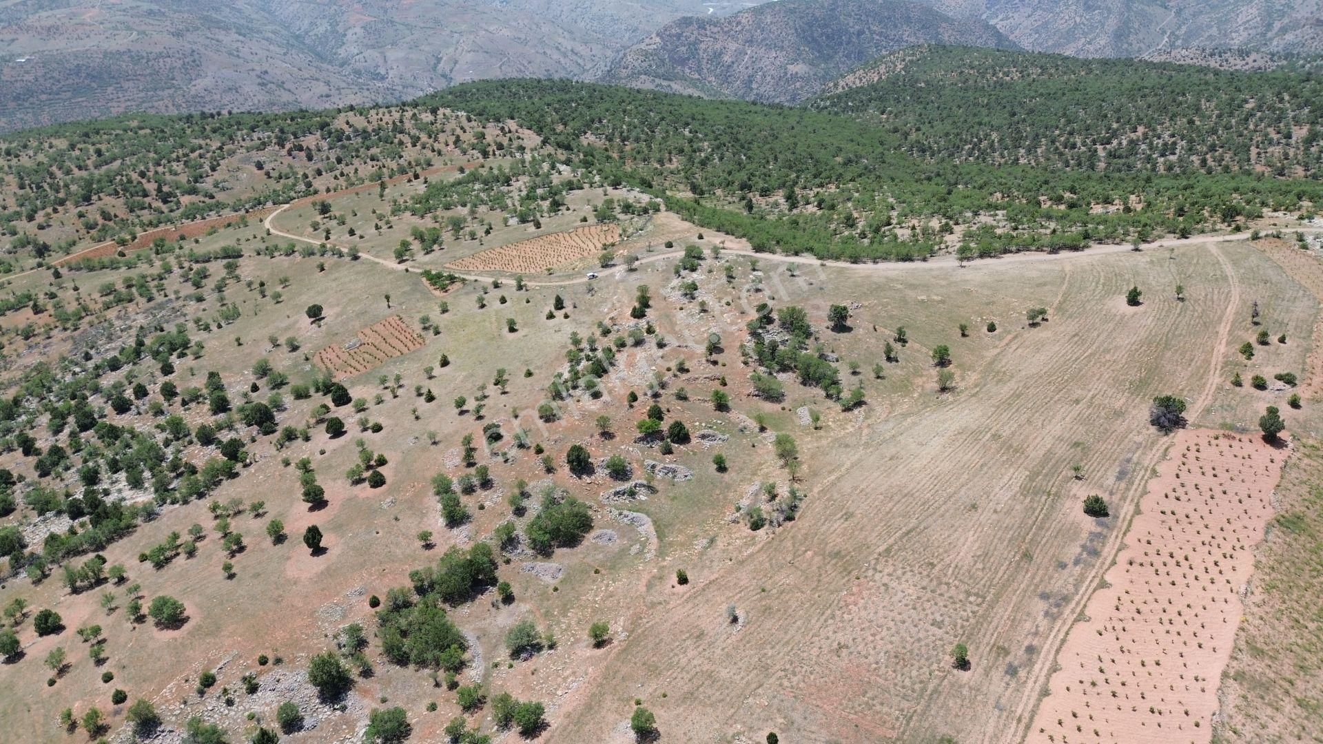 Bozkır Hamzalar Satılık Tarla Bozkır Hamzalarda 1.931 M2 Müstakil Tapulu Bağ