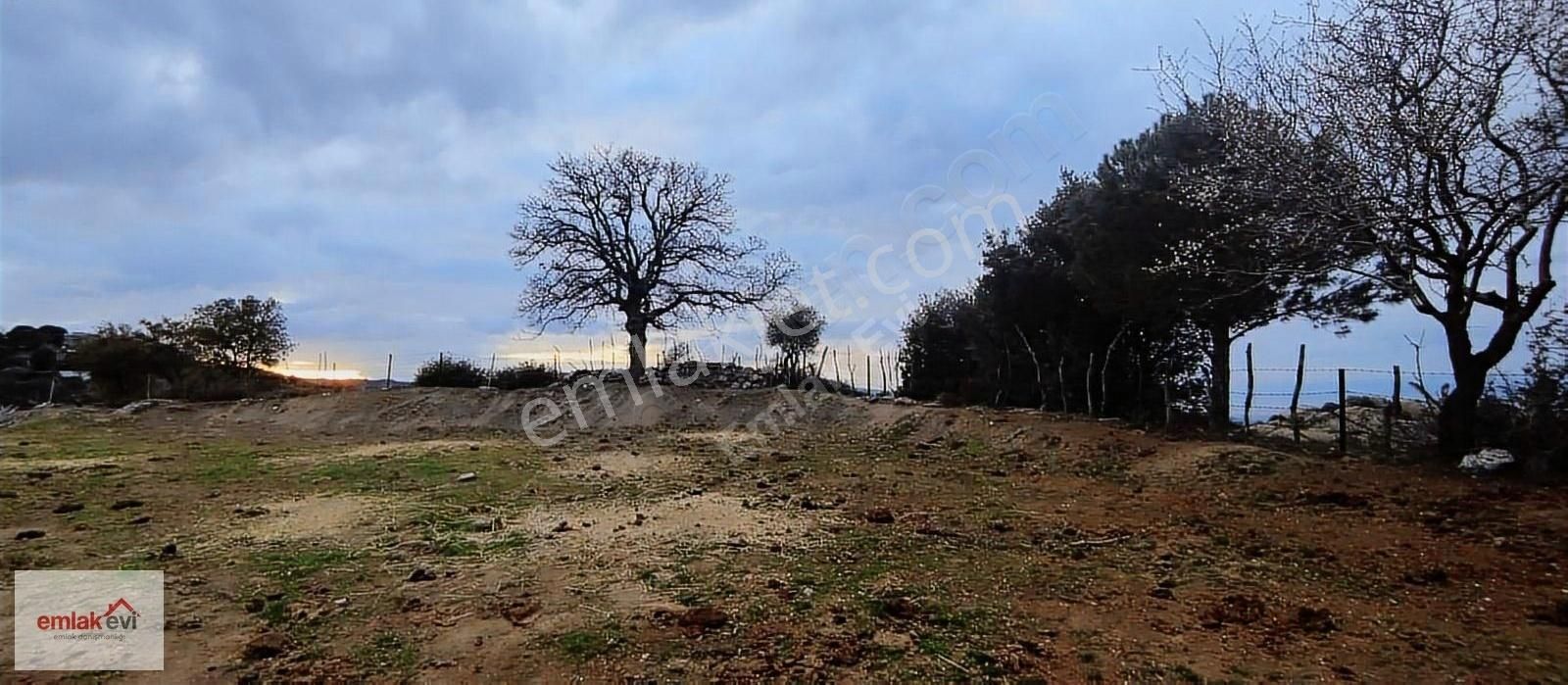 Koçarlı Gözkaya Satılık Konut İmarlı Satılık Full Aydın Manzarali Arsa