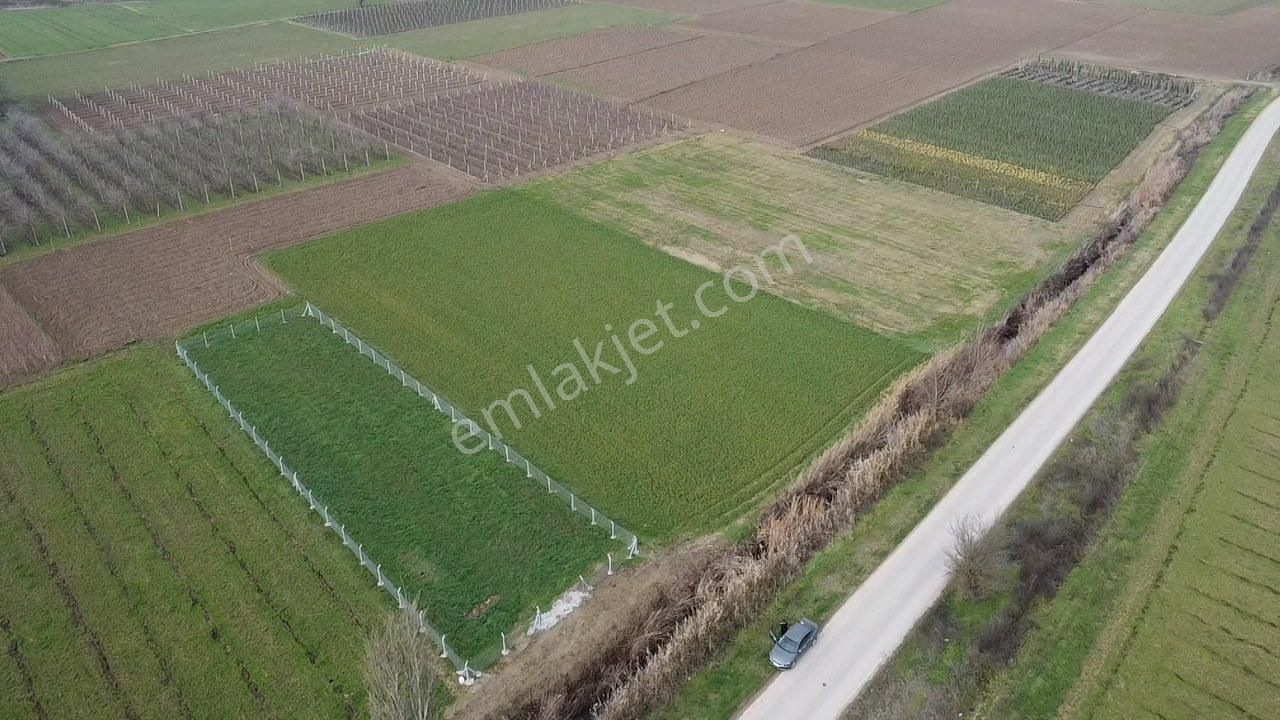 Pamukova Özbek Satılık Tarla Genç Emlak’dan Ova Da Yatırım Fırsatı