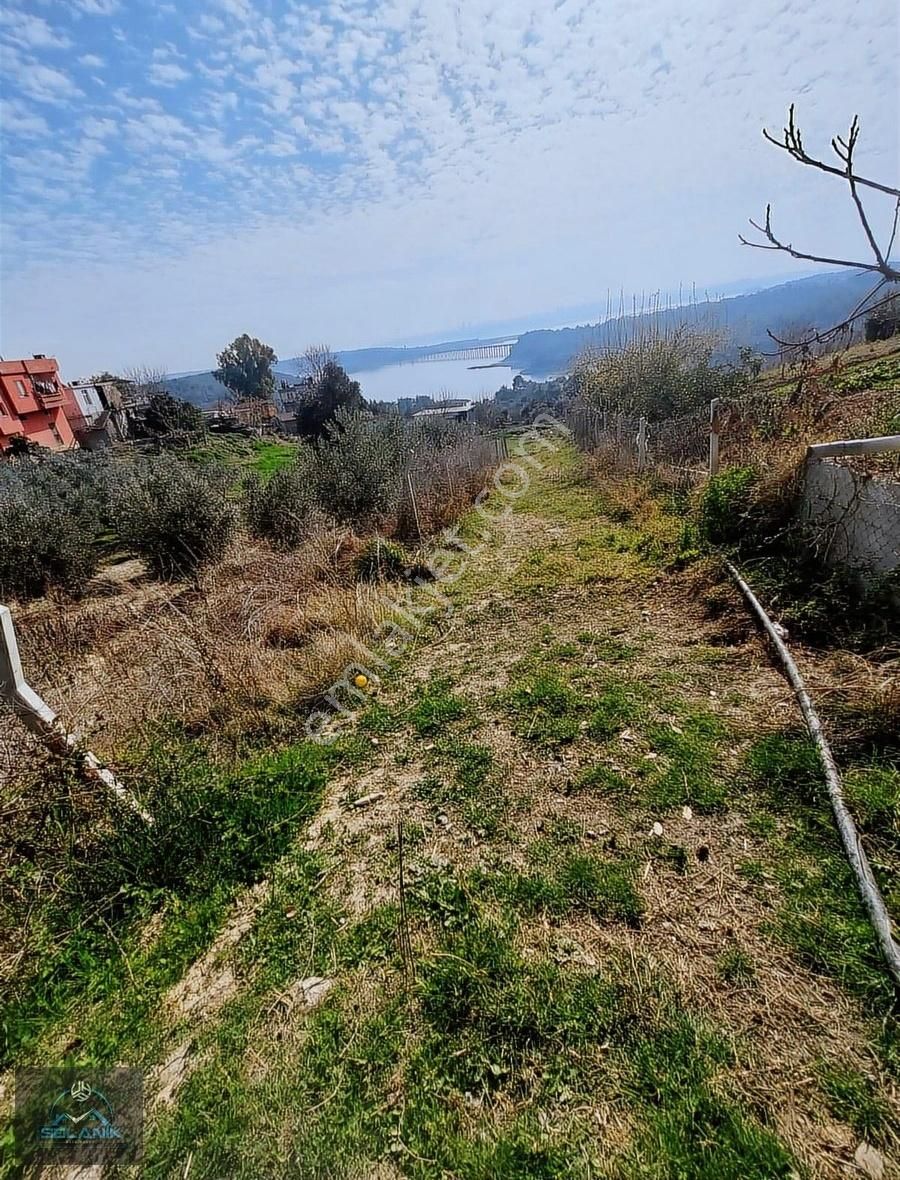 Çukurova Dörtler Satılık Tarla Çukurova Dörtlerde Göl Manzaralı 1 Dönüm Geleceğe Yatırım Fırsat