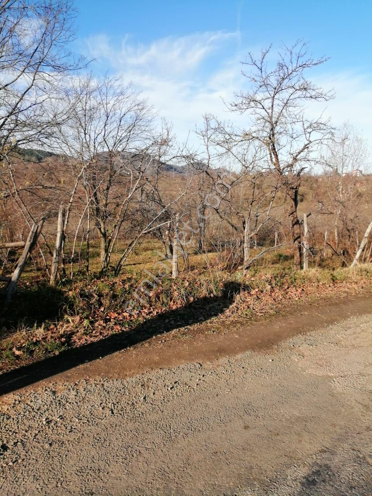 Güzelyalı Yüceler Mevkii Satılık Arsa - Görsel 6