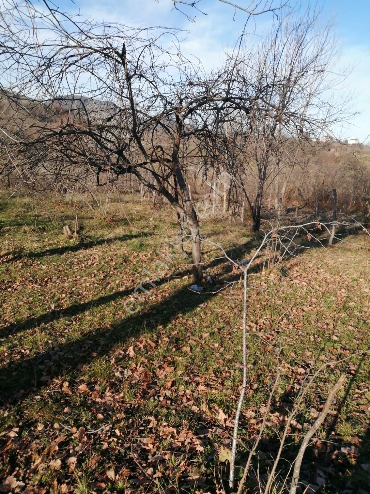 Güzelyalı Yüceler Mevkii Satılık Arsa - Görsel 5