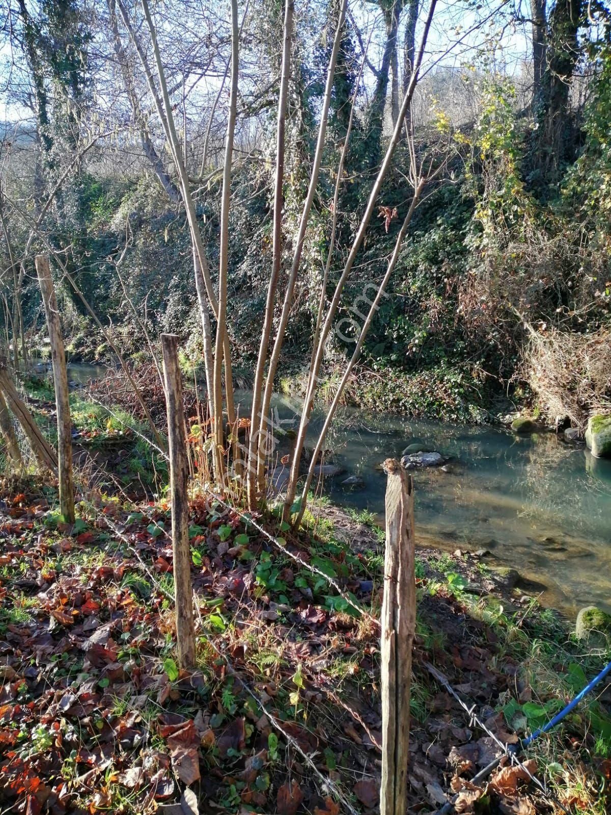 Güzelyalı Yüceler Mevkii Satılık Arsa - Görsel 11