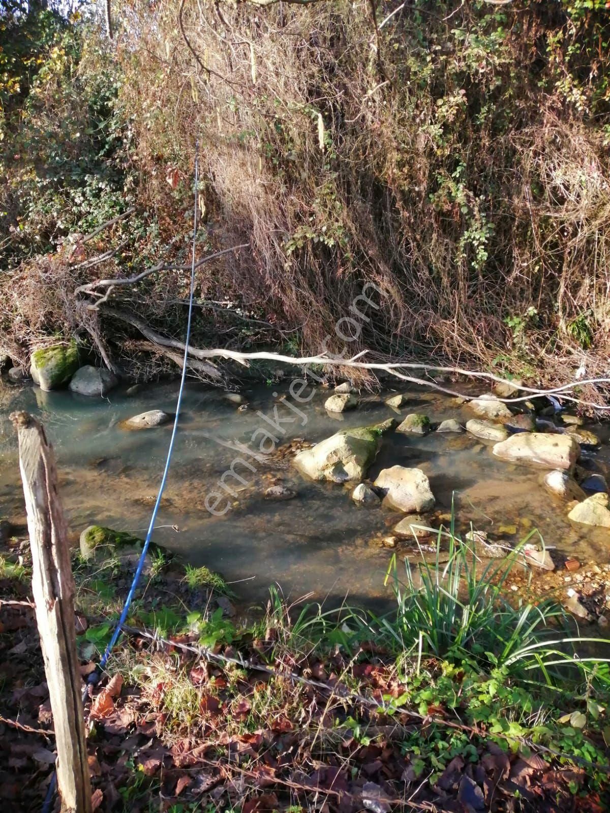 Güzelyalı Yüceler Mevkii Satılık Arsa - Görsel 10