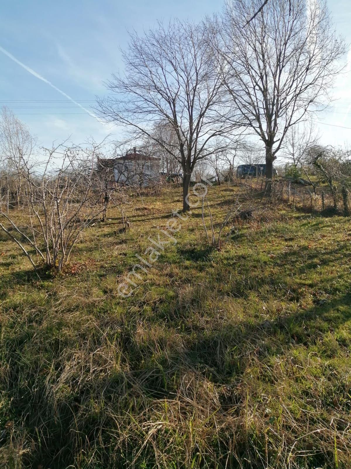 Güzelyalı Yüceler Mevkii Satılık Arsa - Görsel 4