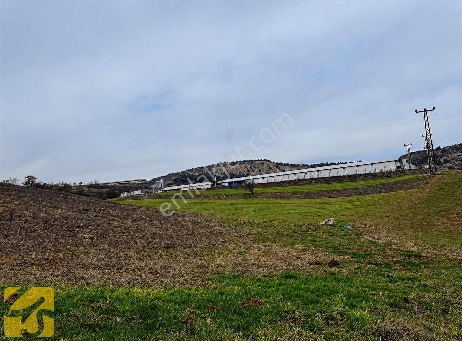 Bolu Merkez Yakuplar Köyü Satılık Tarla Yakuplar Köyü'nde 4.844m2 Satılık Tarla Resmi Yola Cephe