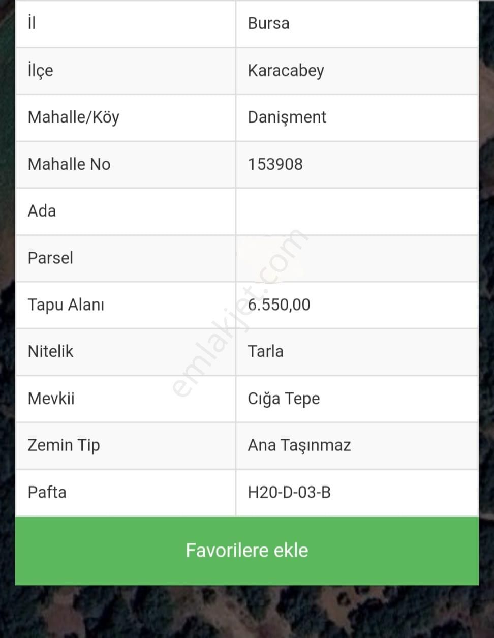 Rt Yılmaz Gayrimenkul'den Karacabey Danışment Satılık Zeytinlik - Görsel 3