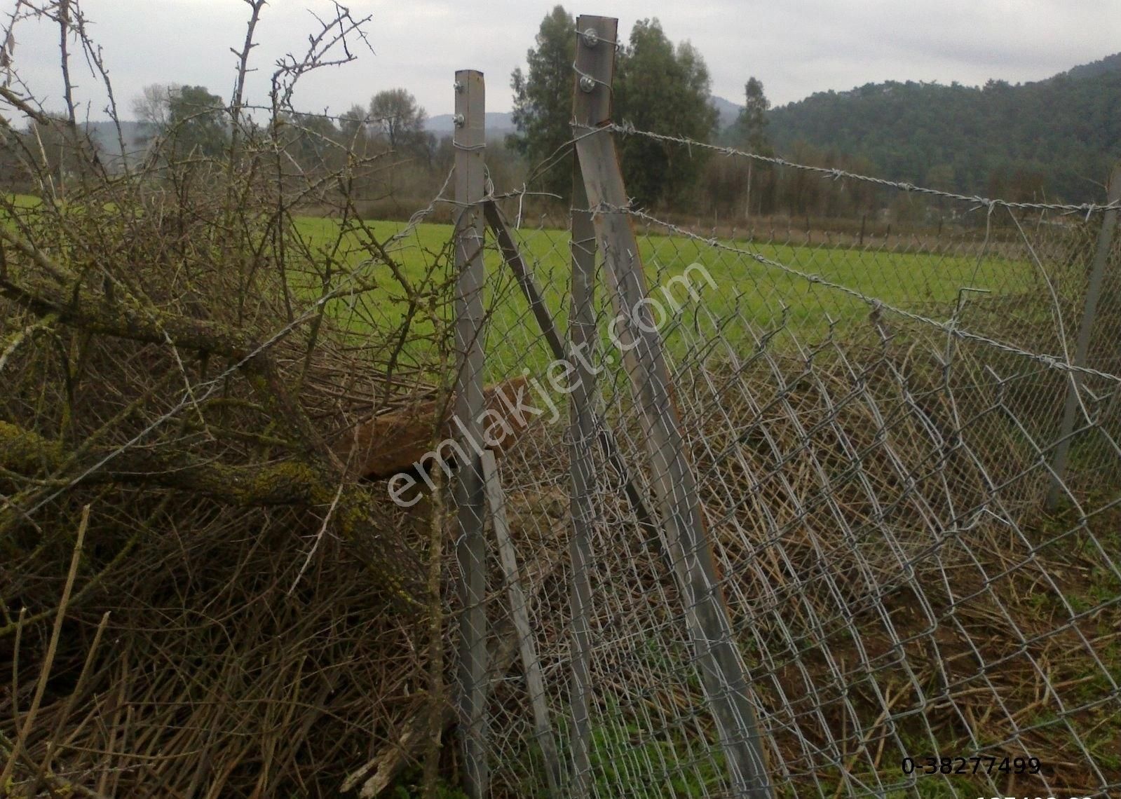 Menteşe Kafaca Satılık Konut İmarlı Bayırda Satılık Arsa 250 Metre Karesine Ev Yapıla Bilir