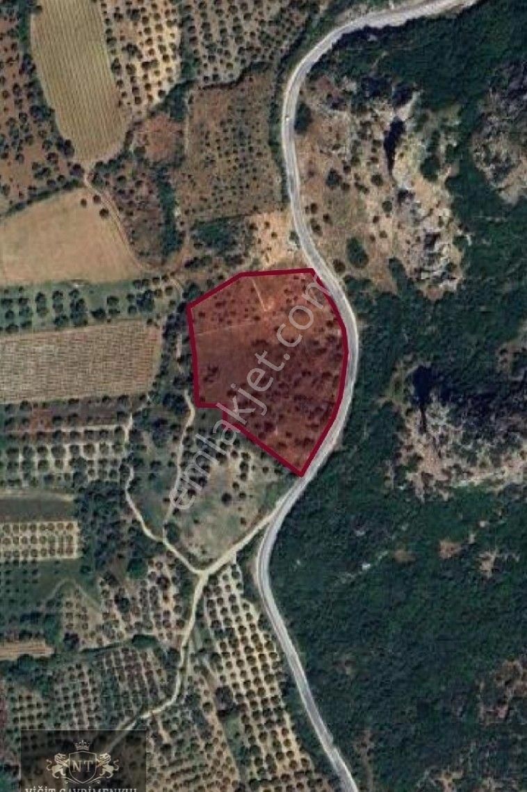 Kuşadası Kirazlı Satılık Bağ & Bahçe Kuşadası Kırazlıda Satilik 2.400m2 Muafakatnameli Bahce