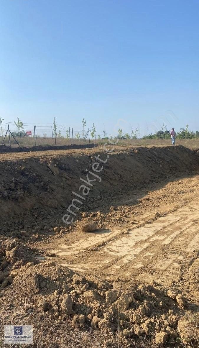 Pendik Kurtdoğmuş Satılık Muhtelif Arsa Pendik Kurtdoğmuşta 714m2 Satılık Arsa