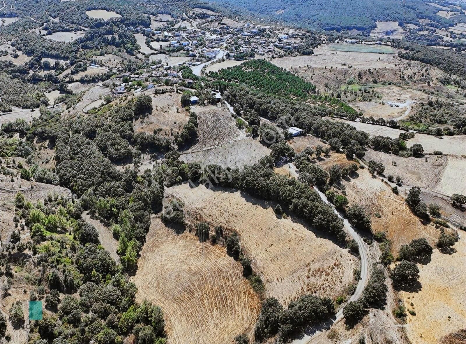 Çan Yeniçeri Köyü Satılık Tarla Çan Merkeze 4 Dakika Köy İçi Yola Cepheli 4.000 M2 Satılık Arsa