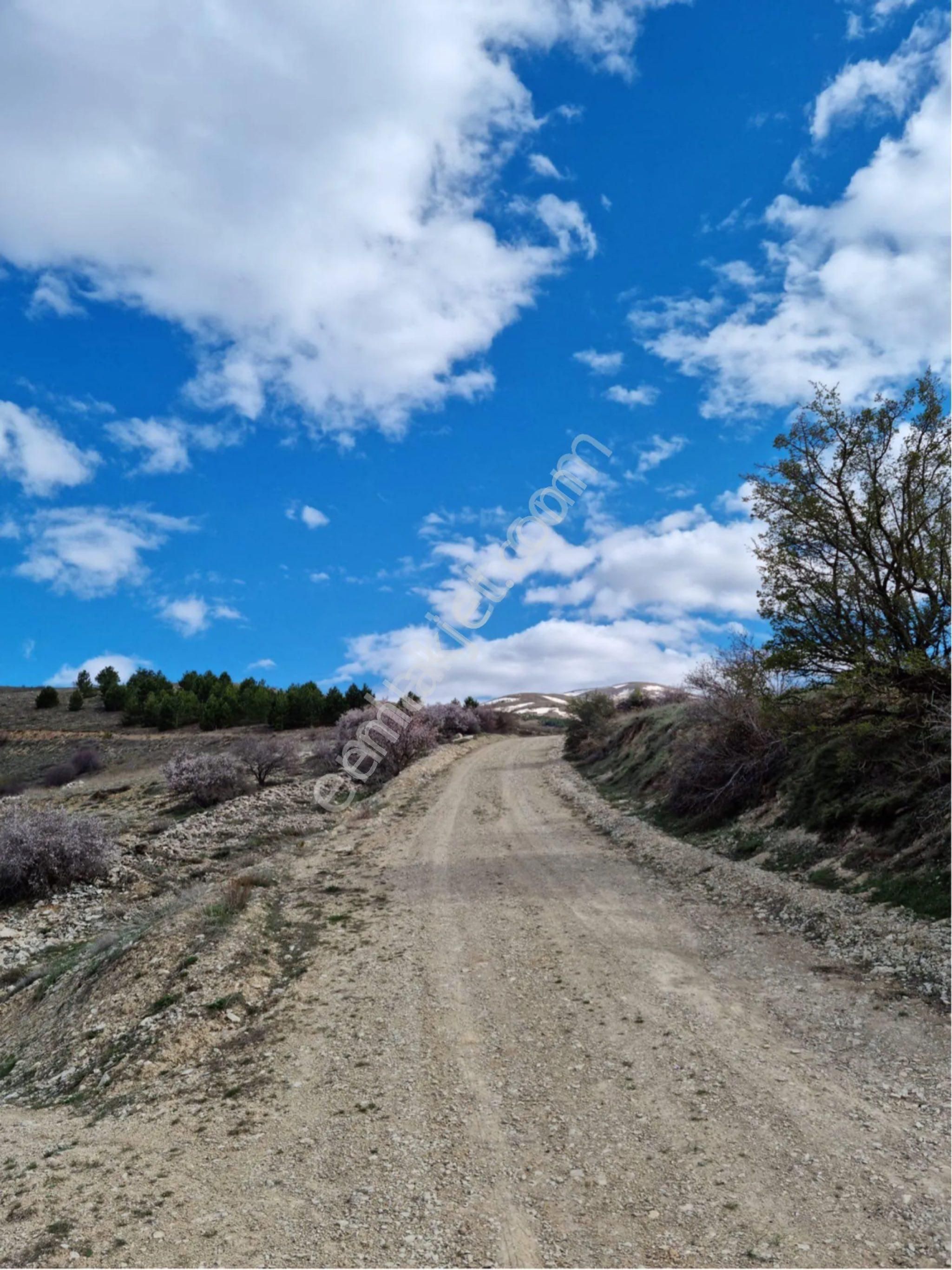 Yeşilyurt Horata Satılık Bağ & Bahçe Arıkandan Konakta Yatırımlık 3500m2 Arazi