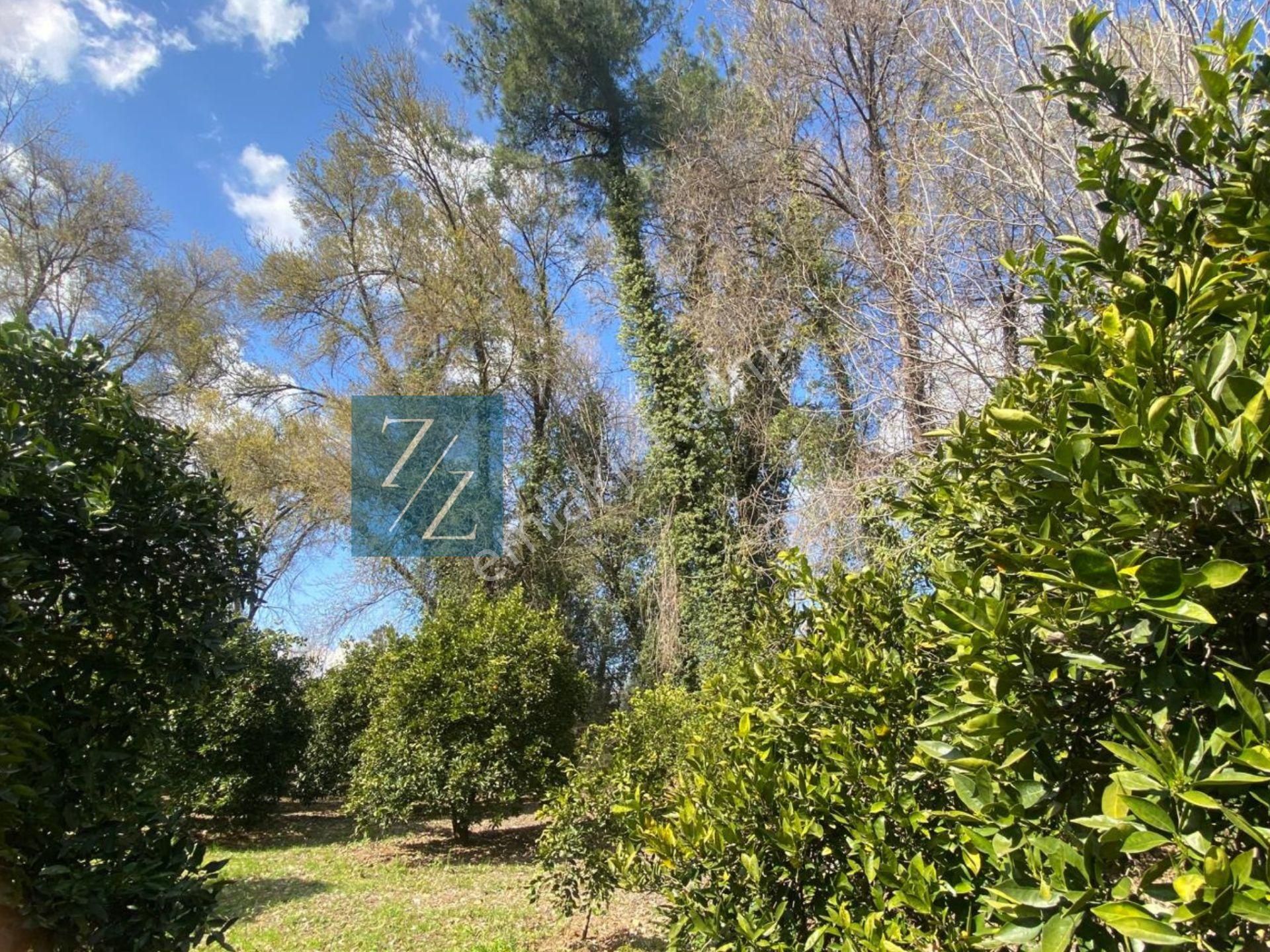 Muğla-köyceğiz Beyoba Mah %8 Ticari İmarlı Arsa - Görsel 10