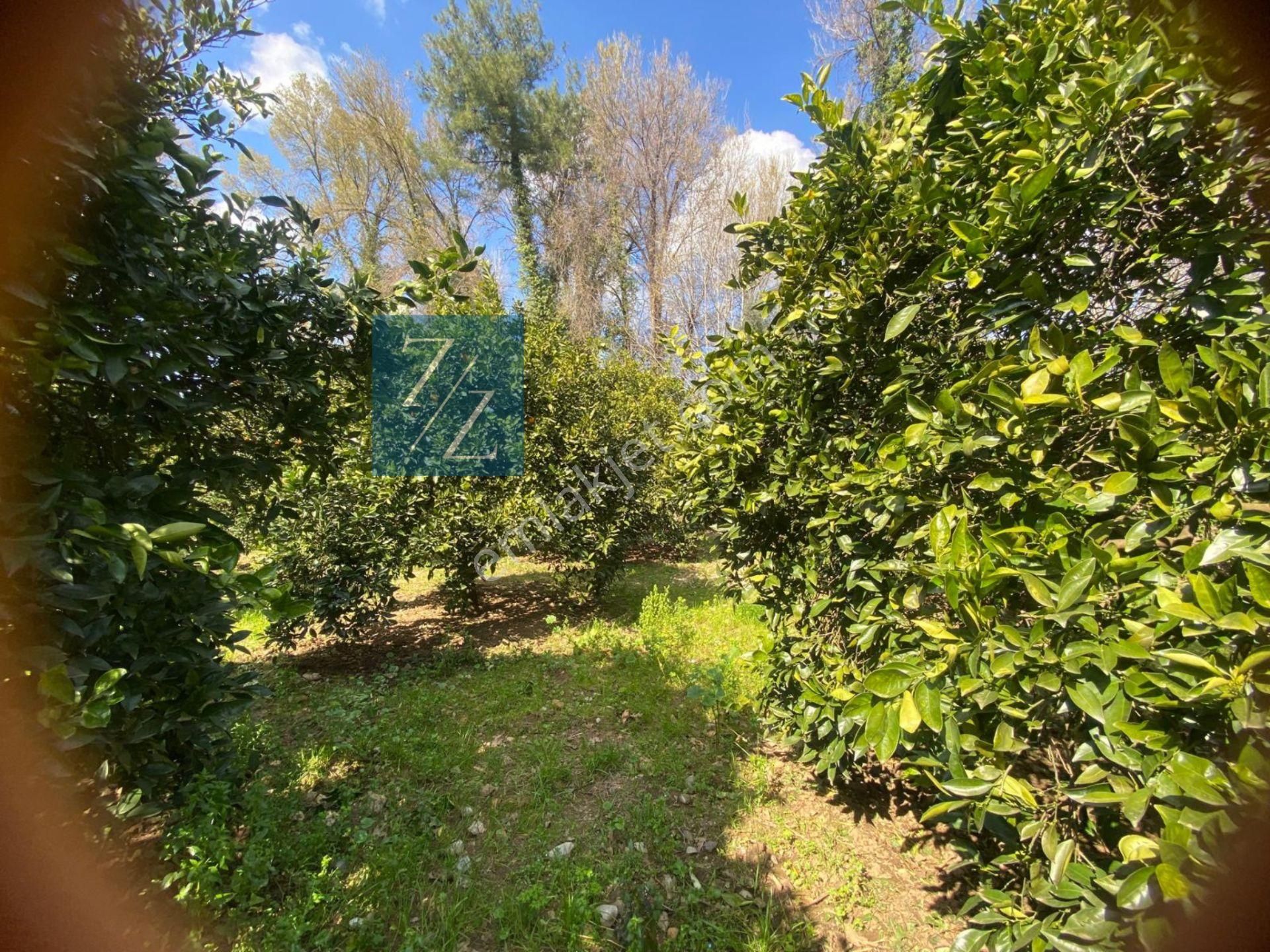 Muğla-köyceğiz Beyoba Mah %8 Ticari İmarlı Arsa - Görsel 9