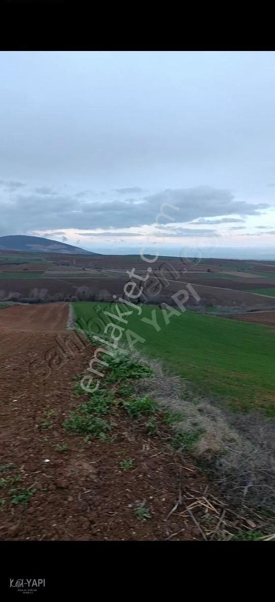 Karacabey Fevzipaşa Satılık Tarla Acil...fevzipaşa Köyü Üstünde 3800m Dereden Suyu Olan Uygunfiyat