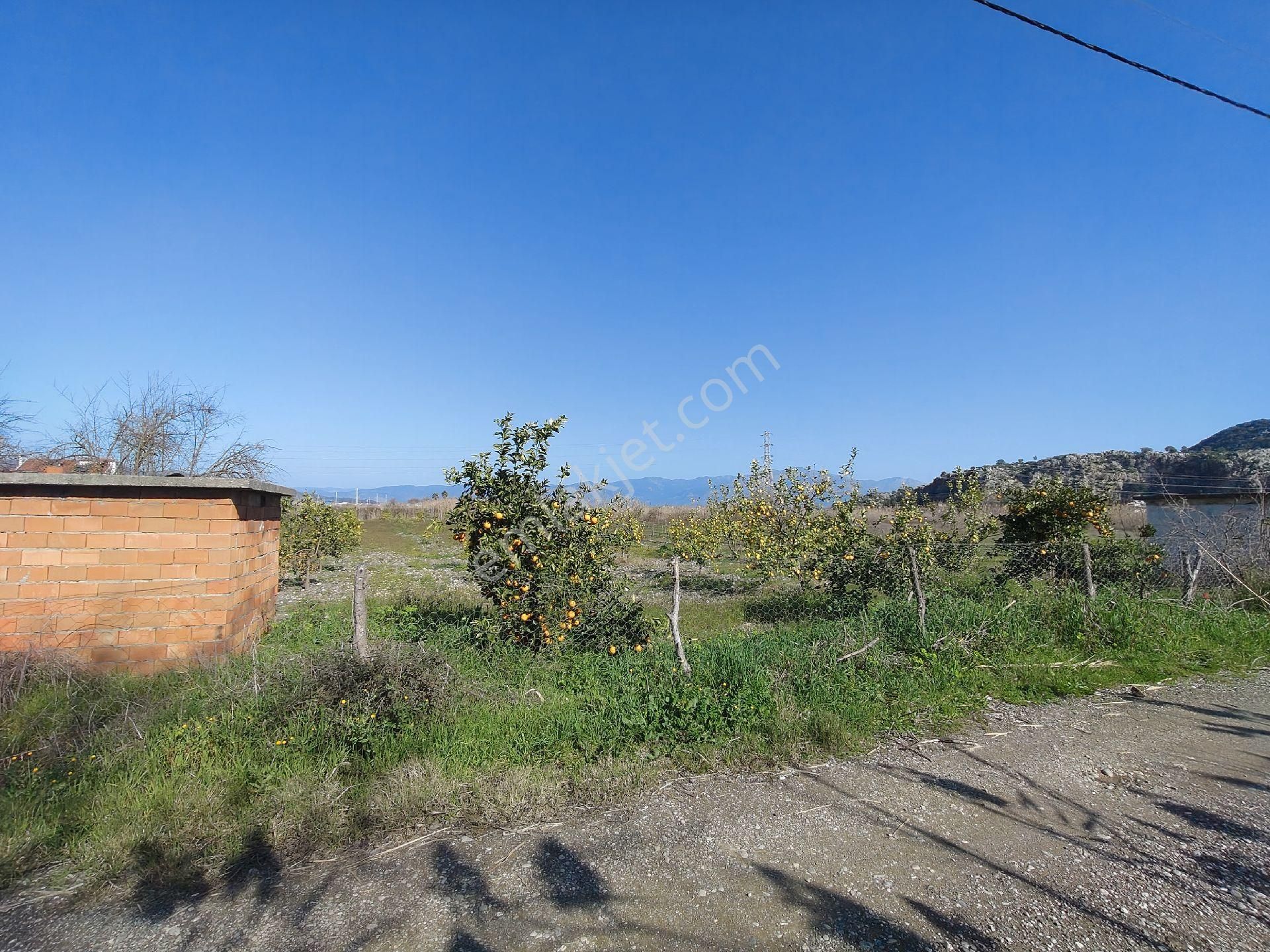 Ortaca Dalyan'da İmarlı Arsa - Görsel 2