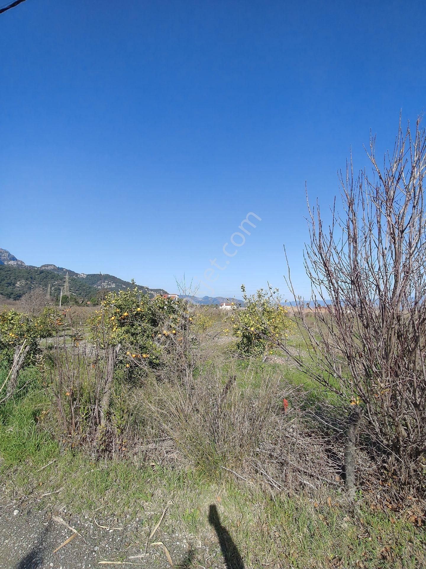 Ortaca Dalyan'da İmarlı Arsa - Görsel 8